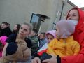 IMG 3706 IMG 3706