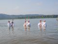 baptism 2024 person 4.2 baptism 2024 person 4.2