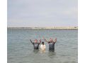 slavicbiblechurchbaptism slavicbiblechurchbaptism