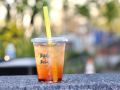 bibleandboba bibleandboba