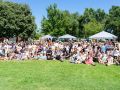 picnic picnic