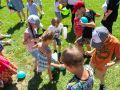 picnic picnic