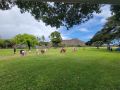 honoluluslavicchurch familyday honoluluslavicchurch familyday