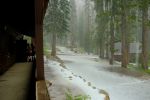 gabc camp  