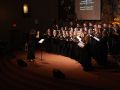 concert concert
